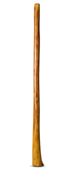 Gloss Finish Flared Didgeridoo (TW732)